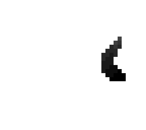 tail base - medium w/ small curl
