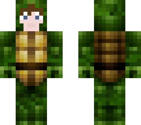 turtle