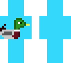 duck