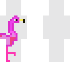 puna flamingo