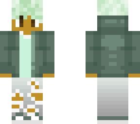 n8 base skin