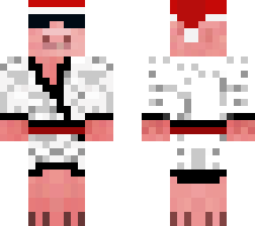 santa karate pig