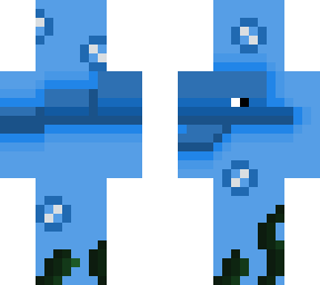 swimming dolphin