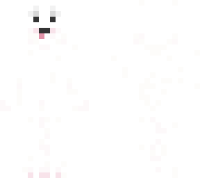 bichon