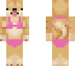 doge in pink bikini