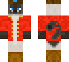 siamese pirate cat