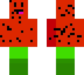 watermelon skin