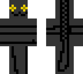 a cat