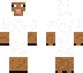 sheep