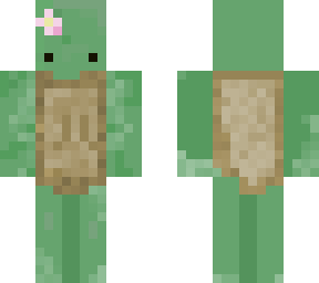 cute turtle