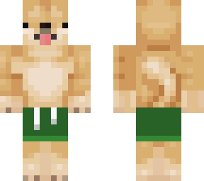doge in a bathing suit