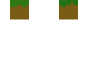 literally a grass block!!!!