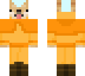 avatar doge 1 (aang)
