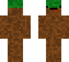 derpy grass block