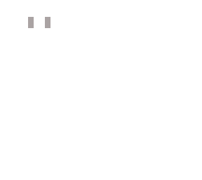 tzler blank v1