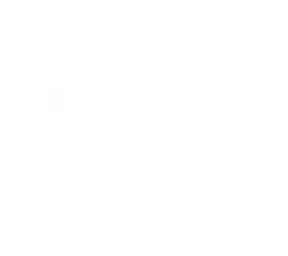 white rectangle