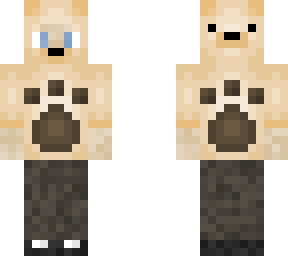 teddy/puppy boy