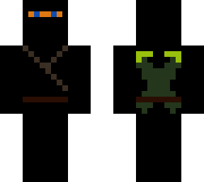 the ninja