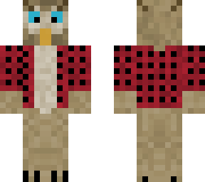 owl