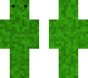bush man
