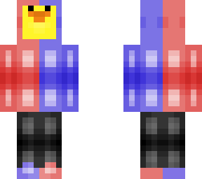 duck in a sweater