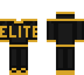 elite (hoodie and pants/shoes)