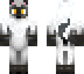 boris el gato