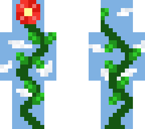 climbing flowers