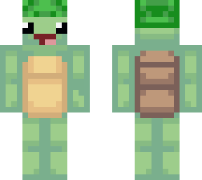 this is not my turtle