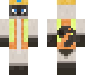 constructin siamese cat