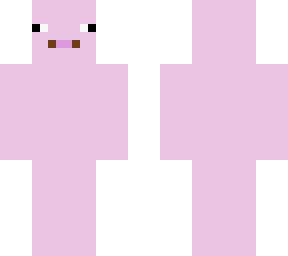 pig