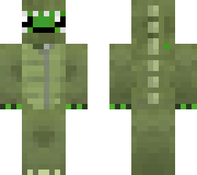 turtle in costum