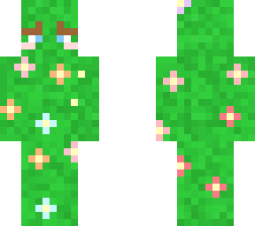 cactus kid