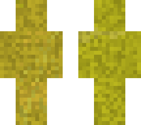 bush 2