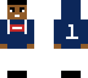 twin skin