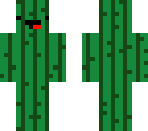 derpy cactus