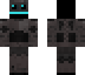 robot ninja