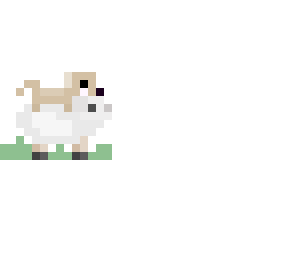 sheepodogs logo
