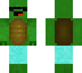 beach tortle