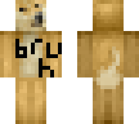 bruh doge