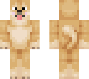 doge without collar