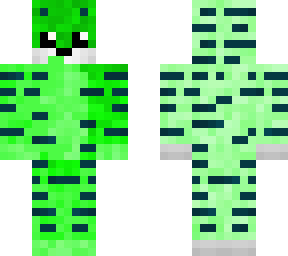 rayroip
