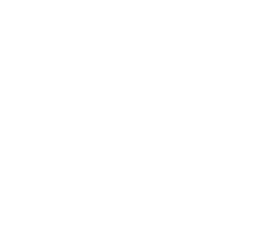 temmie