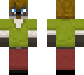 shaggy siamese cat
