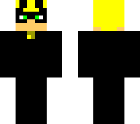skin do cat noir