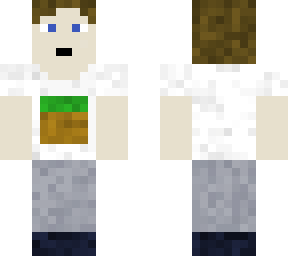 the minecrafter