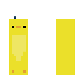 baby duck