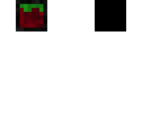 minecraft app