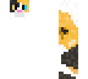 classic calico cat