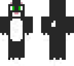my cat moriko